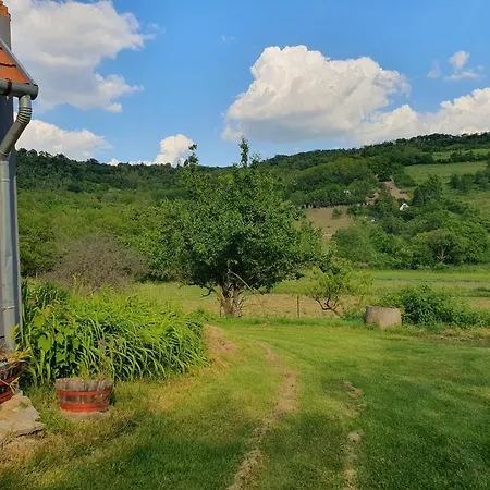Bácshegyi 1 Apartamento Kaptalantoti